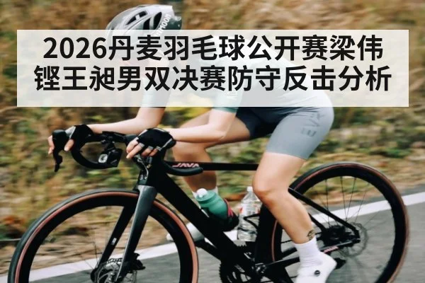 2026丹麦羽毛球公开赛梁伟铿王昶男双决赛防守反击分析